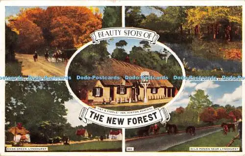 R454856 Beauty Spots of the New Forest 382 1962 Multi View