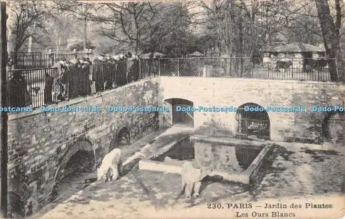 R457333 Paris Jardin des Plantes Les Ours Blancs I P M