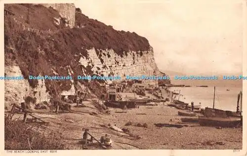 R459831 The Beach Looking East Beer 22339