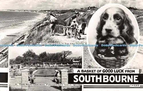 R459871 A Basket of Good Luck from Southbourne C M 693 Dog Sunray Series Thunder