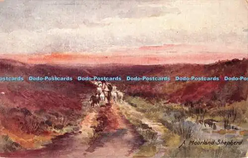 R457658 A Moorland Shepherd The D F Series Delittle