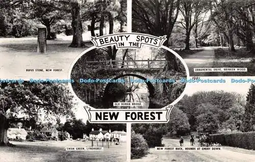 R459957 Beauty Spots in the New Forest Dearden and Wade Sunny South Echtfoto M