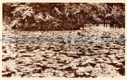 R461081 Unbekannter Pool Nr Hampton in Arden Teesee Serie Jackson Serie RP