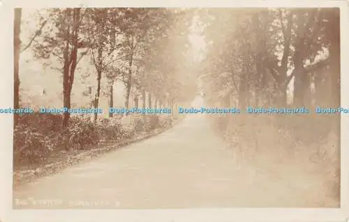 R457903 Horniman The Avenue Postkarte 1906
