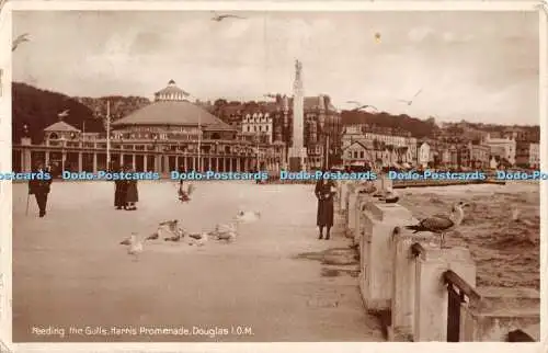 R460227 Feeding the Gulls Harris Promenade Douglas I O M RP 1939