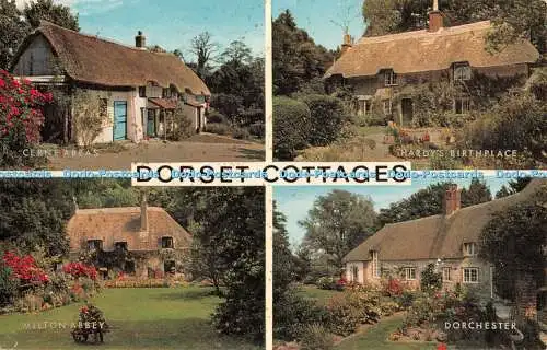 R458017 Dorset Cottages Cerne Abbas Milton Abbey J Salmon Cameracolour Multi Vie