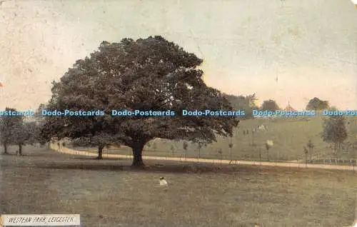 R460432 Western Park Leicester W H S und S L 1914