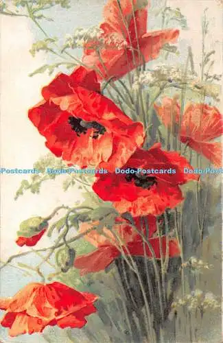 R463532 Blumen Gemälde Postkarte 2244