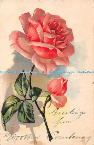 R461718 Rosen P F B Serie 2834 Postkarte