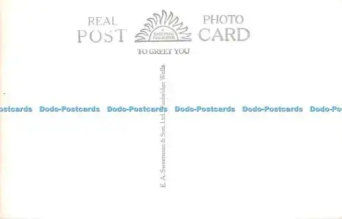 R463738 K C 11 Tropfstein Cascade Kents Cavern Torquay RP E A Sweetman