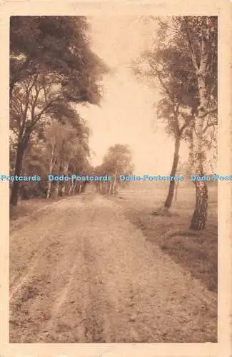 R463744 T S N 112 Straße alte Fotografie Postkarte 1911