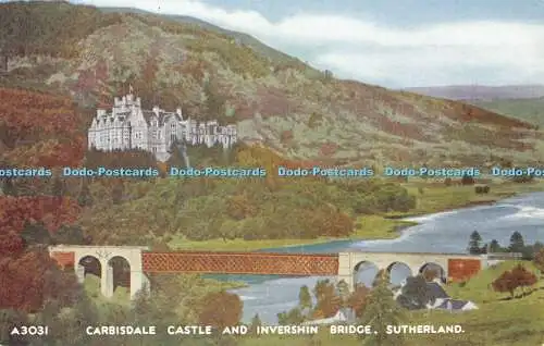 R460857 Sutherland Carbisdale Castle and Invershin Bridge J B White Best of All