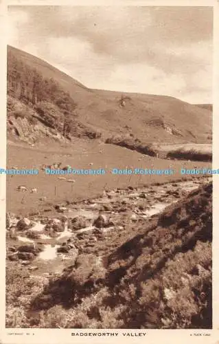 R463808 Badgeworthy Valley Tuck