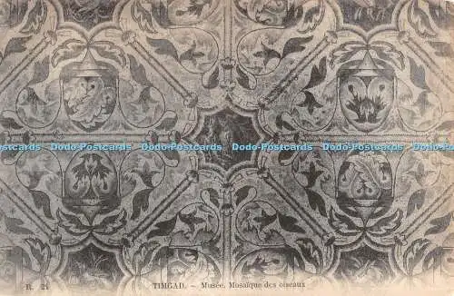 R460895 Timgad Musee Mosaique des oiseaux