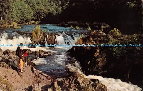 R460922 Carm Cenarth The Falls N P O Dexter Litho Kanada T 1974