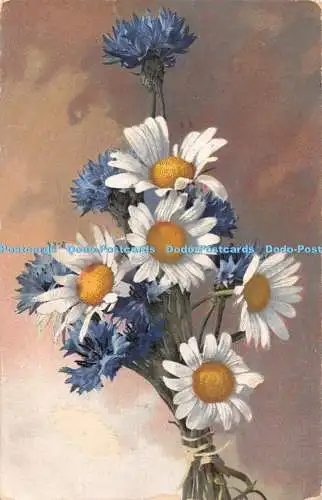 R463870 Blumen Photochromie Serie X Nr 664 1914