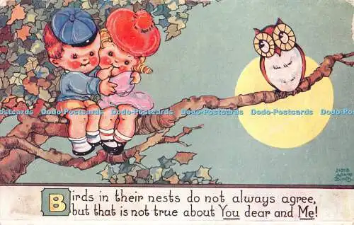 R462143 Vögel in ihren Nestern stimmen Nora Annie Birke Serie nicht immer zuverlässig zu