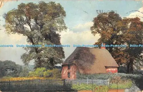 R462205 Beauty Spots of England Sussex Cottage Photochromie Serie 180 Nr 3141