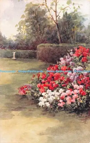 R465711 Gärten Blumen Busch Gemälde Lachs 3748 Postkarte