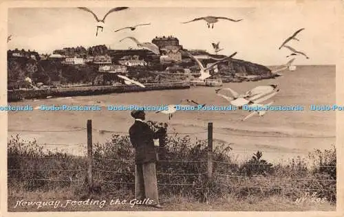 R465911 Newquay Feeding the Gulls T S NV 208 Friths Series