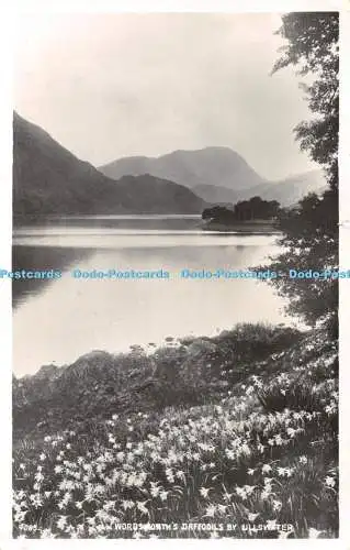 R462829 Wordsworth Narzissen von Ullswater G P Abraham 1953