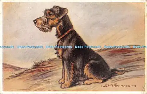 R466278 Lakeland Terrier Valentine