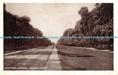 R466280 Bushey Park Chestnut Avenue