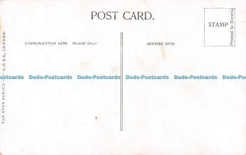 R462942 Miss Robertson G D und D The Star Series Bassano
