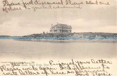 R466381 Conn Stony Creek Phelps Island Rotograph 1905