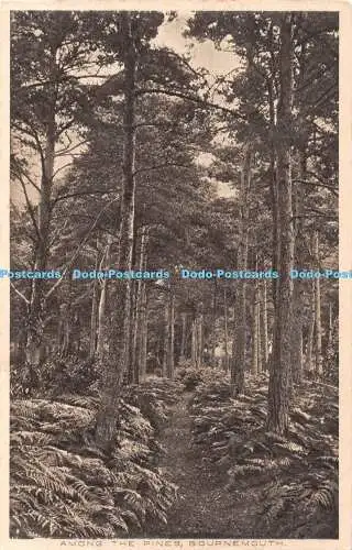 R466535 Bournemouth Among the Pines J G Beale The Fancy Fair