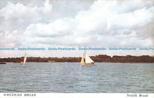 R465297 Wroxham Broad Norfolk Broads Salmon 10630P