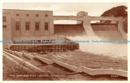 R463327 Pitlochry The Dam and Fish Ladder L Mackay Valentine