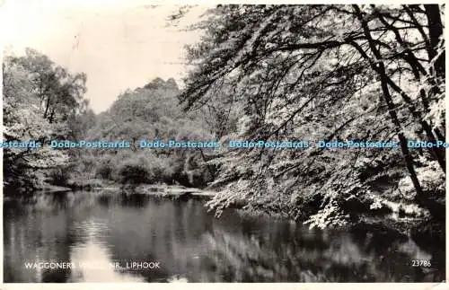 R465498 Waggoners Wells Nr Liphook 23786 Salmon RP 1959