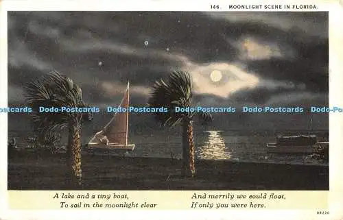 R467017 Mondlichtszene in Florida Ein See und ein kleines C T amerikanische Kunst farbig als