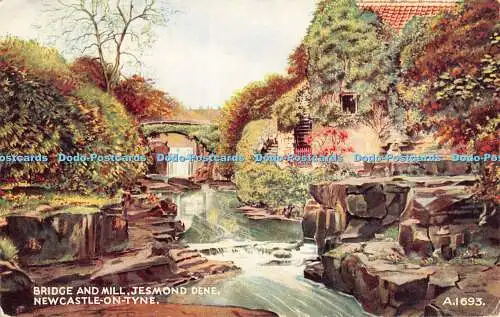 R467916 Newcastle on Tyne Jesmond Dene Bridge and Mill Valentine Art Farbe G W