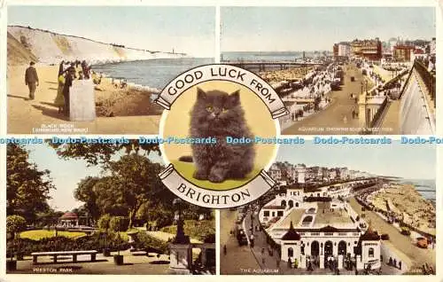 R471753 Good Luck from Brighton Kitten G 1698 1936 Multi View