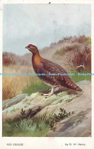 R477669 Red Grouse Valentine D M Henry Spiel Vogel Serie