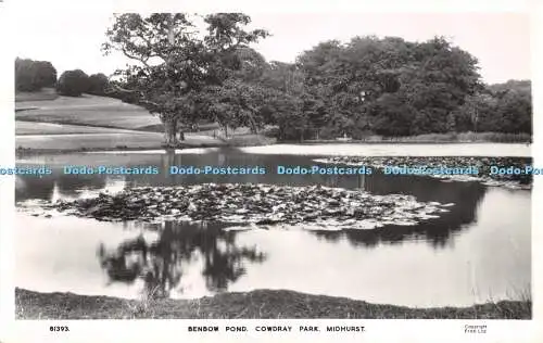 R472025 Midhurst Benbow Pond Cowdray Park Frith Serie