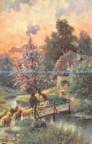 R475357 Schweiger Gemälde Schafhaus Landschaft Bäume Postkarte L und P 1576 II