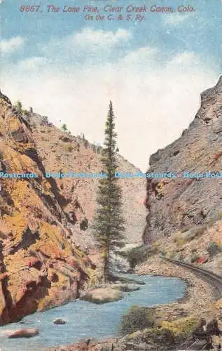 R475537 8867 The Lone Pine Clear Creek Canon Colo On the C and S Ry H R Schmidt