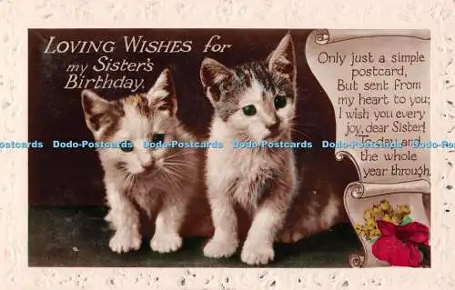 R478010 Liebevolle Wünsche für meine Schwester Geburtstag Katzen RP
