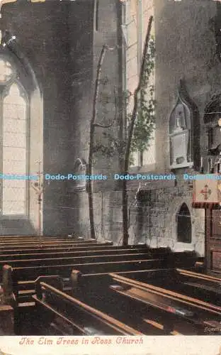 R475622 Die Ulmen in Ross Church Burrow Lawrence and Fowler