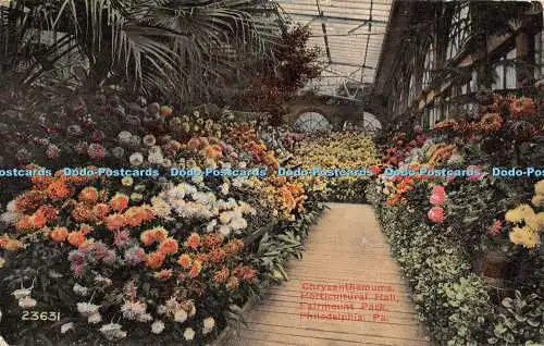 R468869 Philadelphia Pa Chrysanthemen Gartenbauhalle Fairmount Park