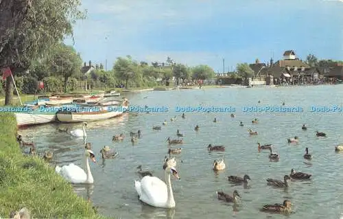 R472384 Thorpeness Swans on the Mere F W Pawsey