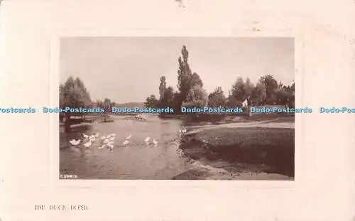 R478112 The Duck Pond Rotary Photographic Plate Sunk Gem Series