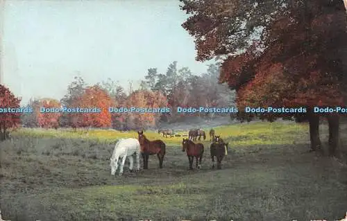 R478159 Beauty Spots of England Farmers Friends Photochromie Nenke and Ostermaie