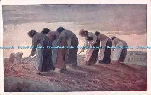 R478164 Stilles Heldentum Offizielle Karte Fur Rotes Kreuz Nr 555