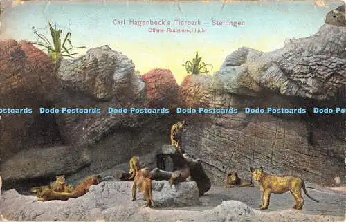 R472624 Carl Hagenbecks Tierpark Stellingen Offene Raubtierschlucht Kumm Gebr Ha