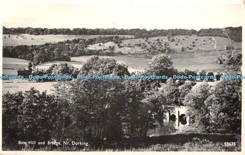 R469196 Box Hill and Bridge Nr Dorking J Salmon 1959