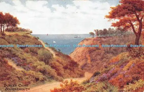 R469282 Bournemouth Durley Chine J Salmon